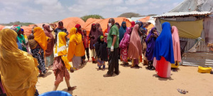 Somalia PHC outreach website pic